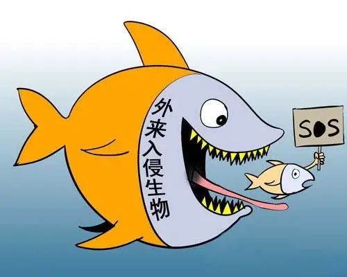 进化游戏最新版_进化版手机游戏排行榜_游戏《进化》手机版