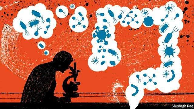 进化游戏最新版_进化版手机游戏排行榜_游戏《进化》手机版