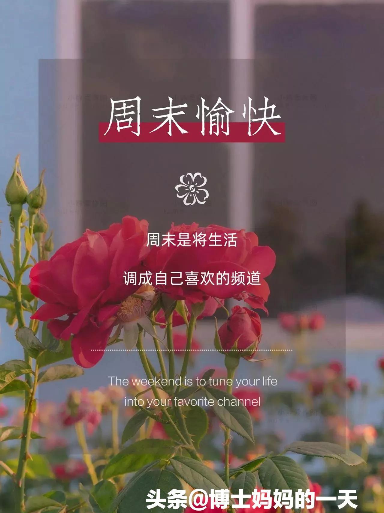 我手机上有减压游戏怎么办_减压游戏全部解锁_减压手机游戏有哪些