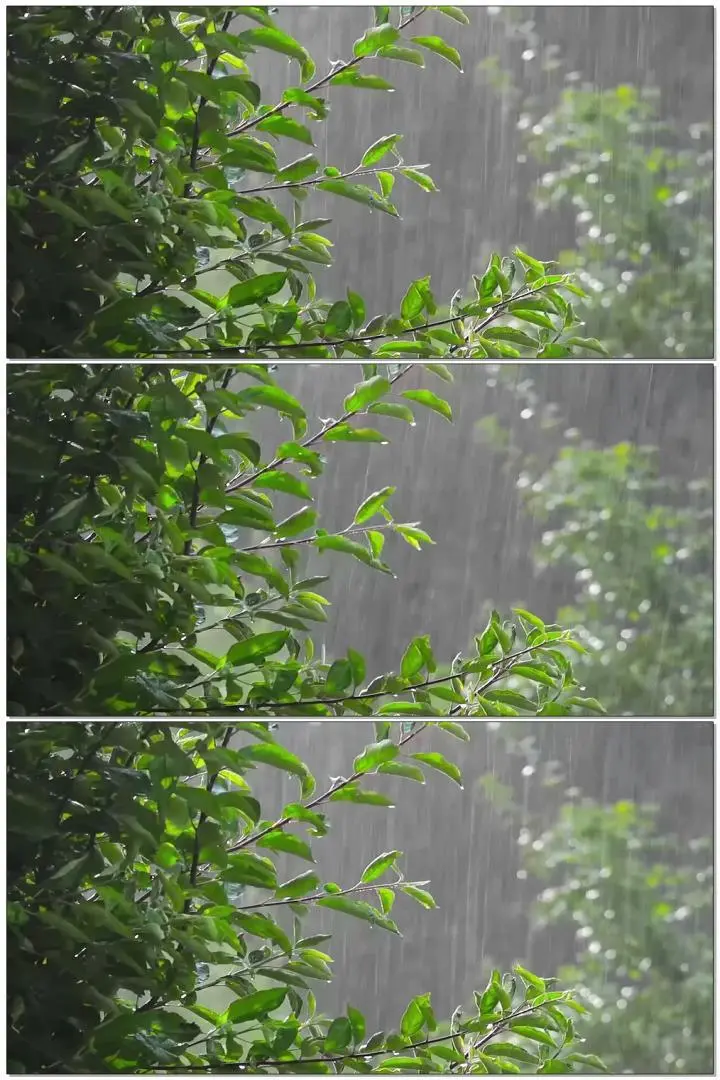 下雨短视频可保存_下暴雨的视频自己录的_视频下雨