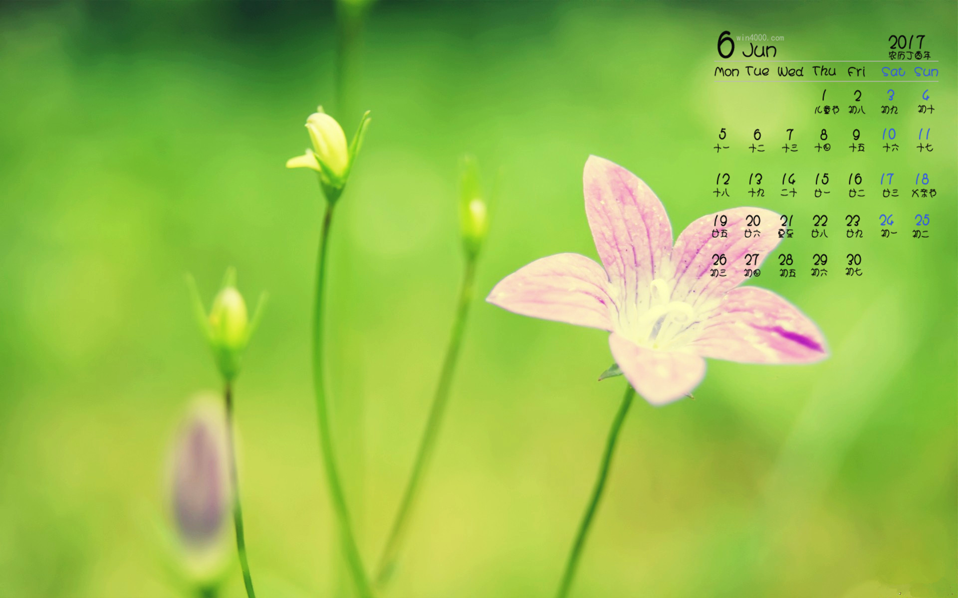 7月日历桌面壁纸_月历壁纸桌面壁纸高清_日历桌面壁纸软件