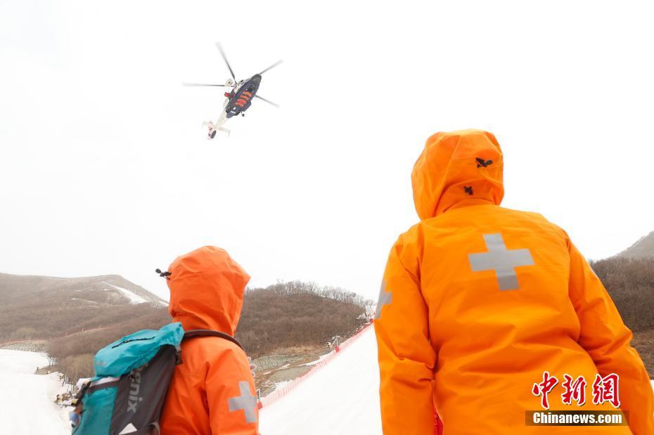 高山冒险滑雪游戏_小米手机高山滑雪游戏_高山滑雪模拟器手机版