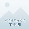 一款打牌的游戏_打牌起手机游戏叫什么_一起打牌游戏手机