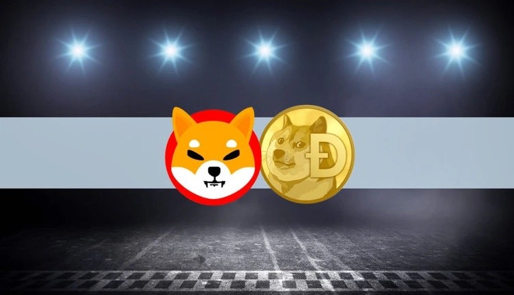 狗狗币多少钱一个_狗狗币钱包下载教程_狗狗币钱包app下载