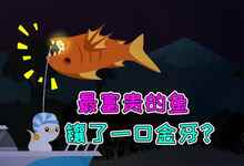 小猫钓鱼下载安装中文版_小猫钓鱼下载最新版_小猫钓鱼手机版的游戏下载