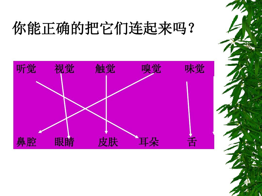 体验盲人的手机游戏_盲人体验手机游戏_一款盲人体验游戏