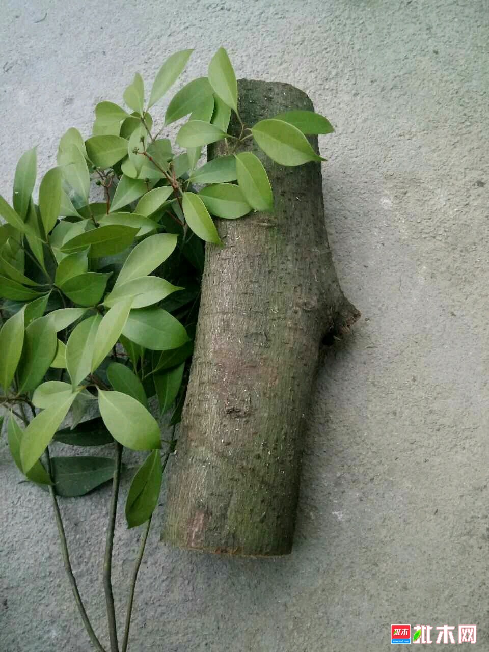 看板郎_看板郎_看板郎