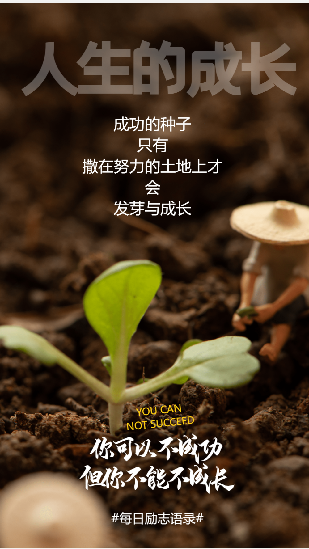 青春失乐园电影_电影青春之歌_电影青春变形记