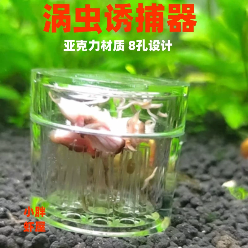 抓虫手机游戏_抓虫虫游戏_抓虫游戏怎么玩