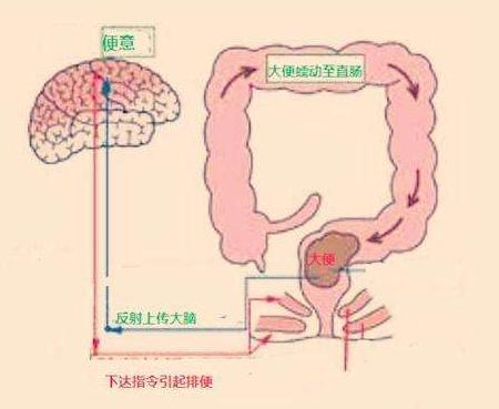 java反射机制原理详解_反射的原理java_反射的概念java