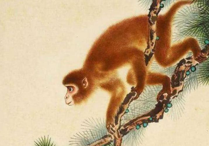 无限猴子故事_猴子定理说明了什么_无限猴子定理