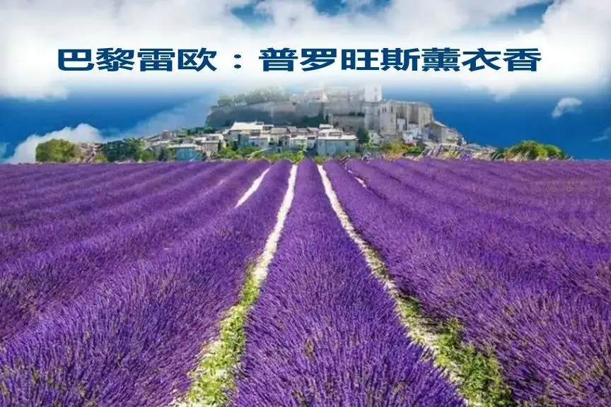 我的盛大希腊婚礼_我的盛大希腊婚礼婚礼礼仪_盛大希腊婚礼图片