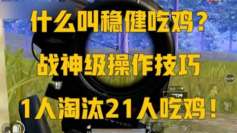 所有手机如何玩吃鸡游戏_手机喂鸡游戏_鸡吃虫子的游戏