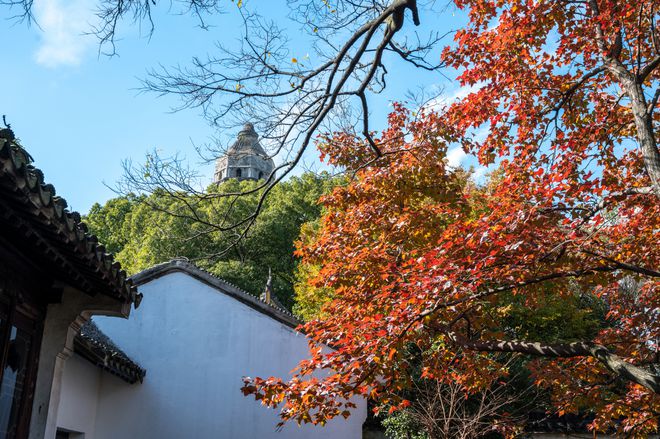 涂山苏苏_涂山苏苏_涂山苏苏