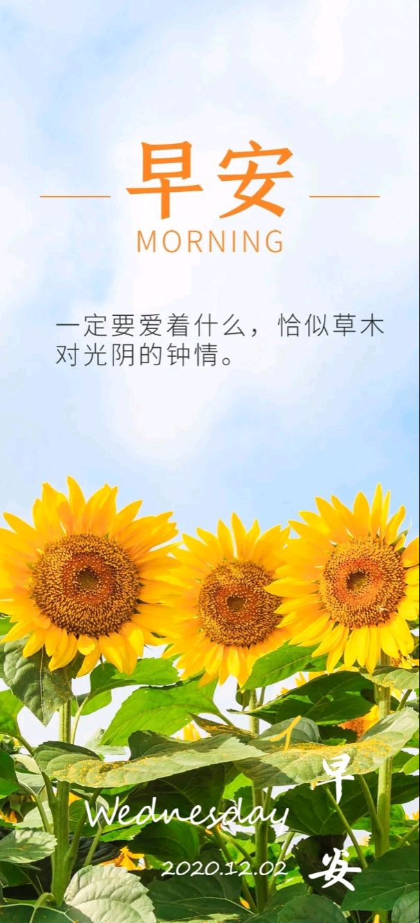 我们仍未知道花名_名道奕博公共关系培训机构_未闻花名已知花意未闻花名全句