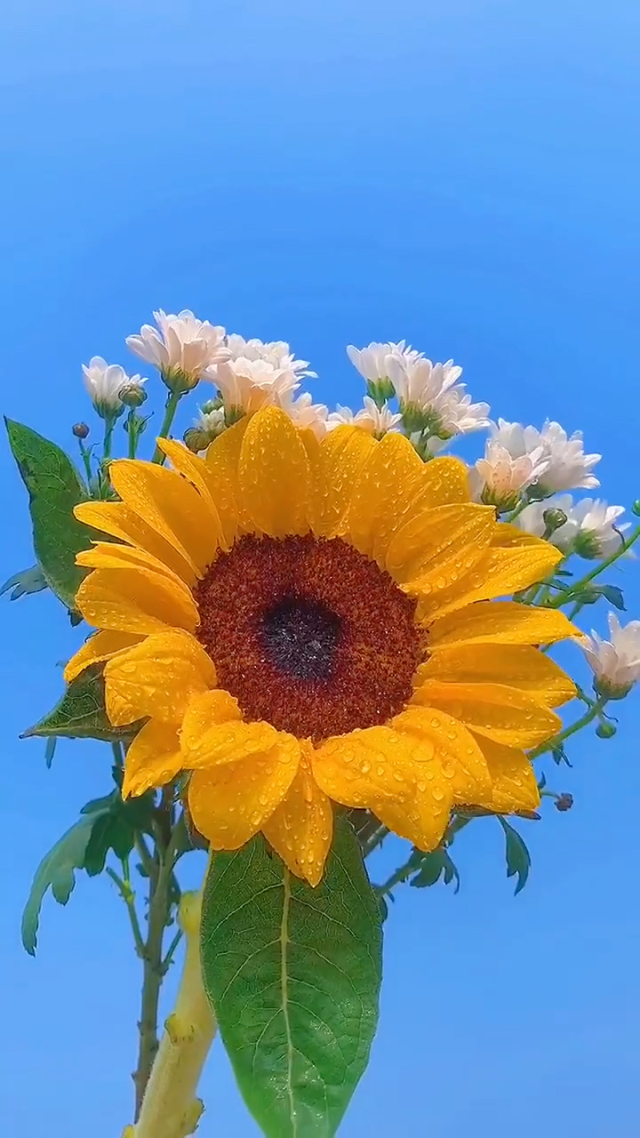 法则最强无限版手机游戏大全_无限法则最强手机版游戏_最强法则排行
