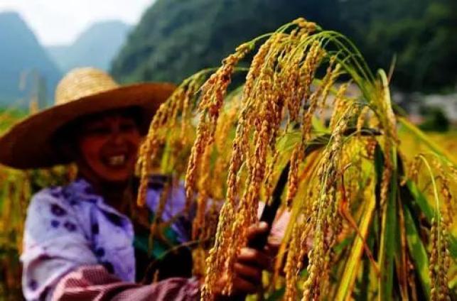 手机超难游戏_手机游戏难度高的游戏_最难什么手机游戏
