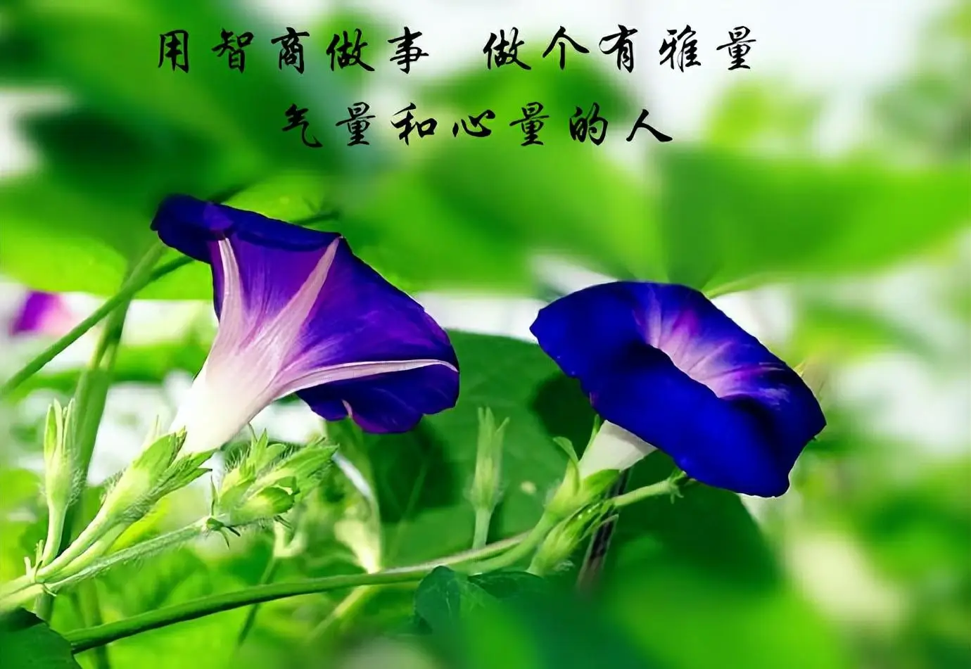 灵魂熔炉_灵魂熔炉任务_灵魂熔炉攻略
