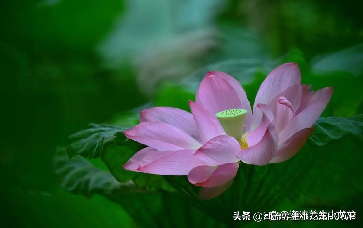 头条小游戏秒玩今日头条小游戏_头条小游戏大全手机玩_头条小游戏