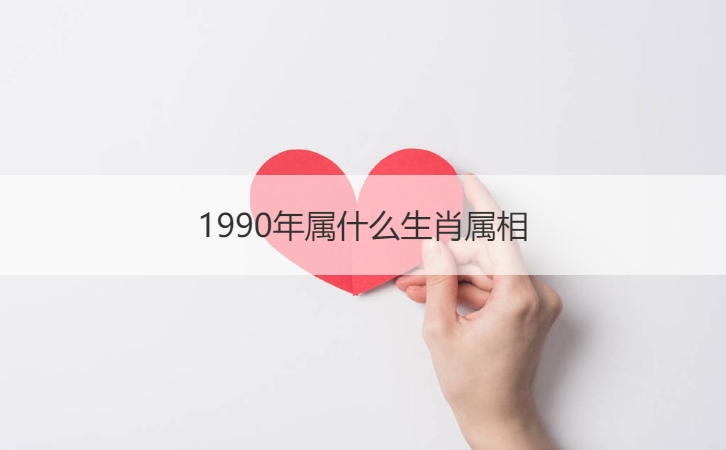 生肖属年表_生肖属年龄_1999年属什么生肖