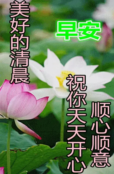 无需网络的手机打篮球游戏_打篮球游戏不用网的_手机篮球单机游戏不需要网络