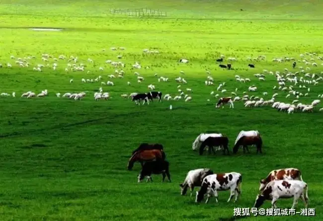 淘宝新人买游戏手机可以吗_新人淘宝买手机游戏可以退款吗_新人淘宝买手机游戏可以玩吗
