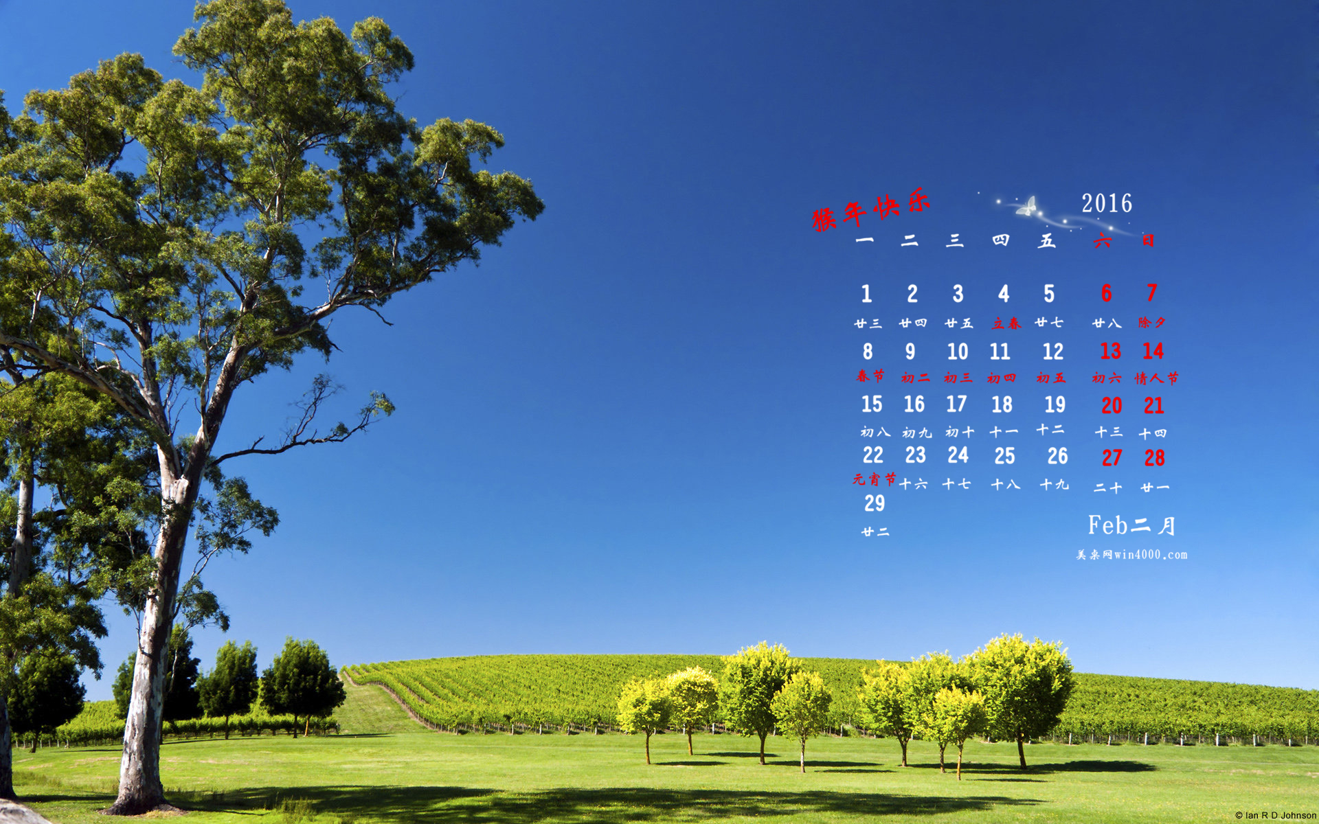 2013年杜兰特6多少钱_2009年日历_2024年日历年