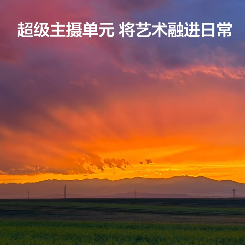 鲨鱼游戏手机3_专业游戏手机鲨鱼_手游鲨鱼游戏叫什么名字