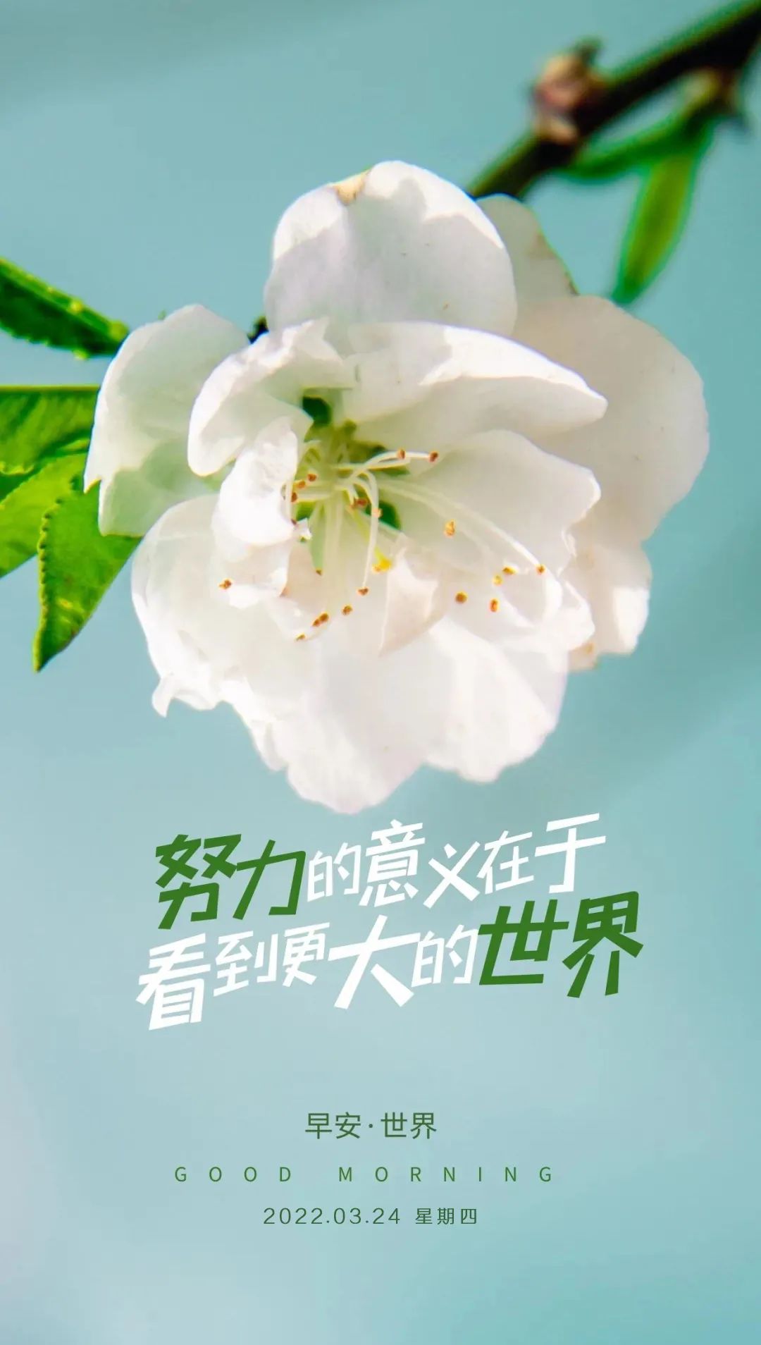 形容手机玩游戏好玩的句子_形容玩手机的句子_好玩句子形容玩手机游戏的人