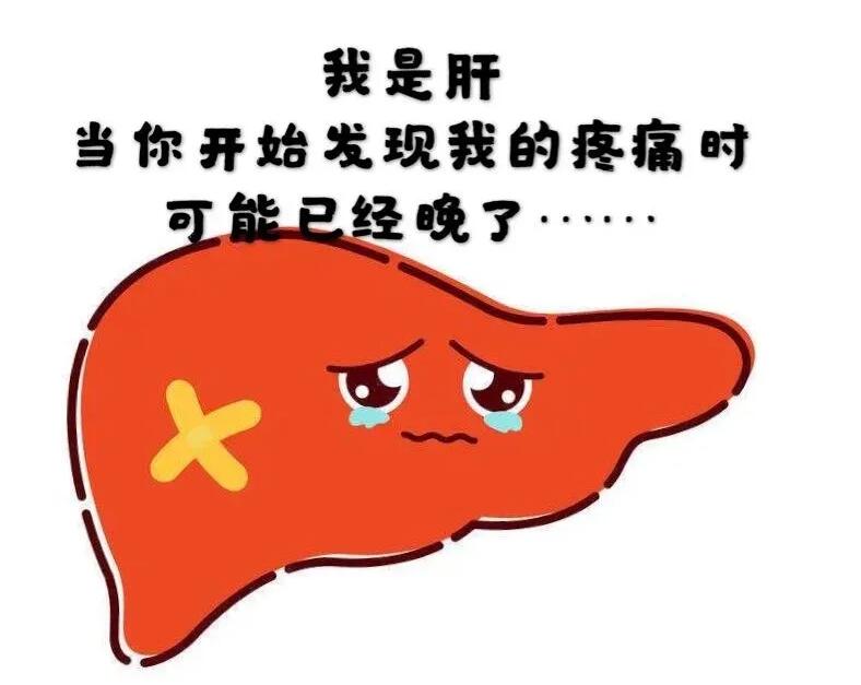 肝爱听什么音乐_肝爱晚期能活多久_爱肝日