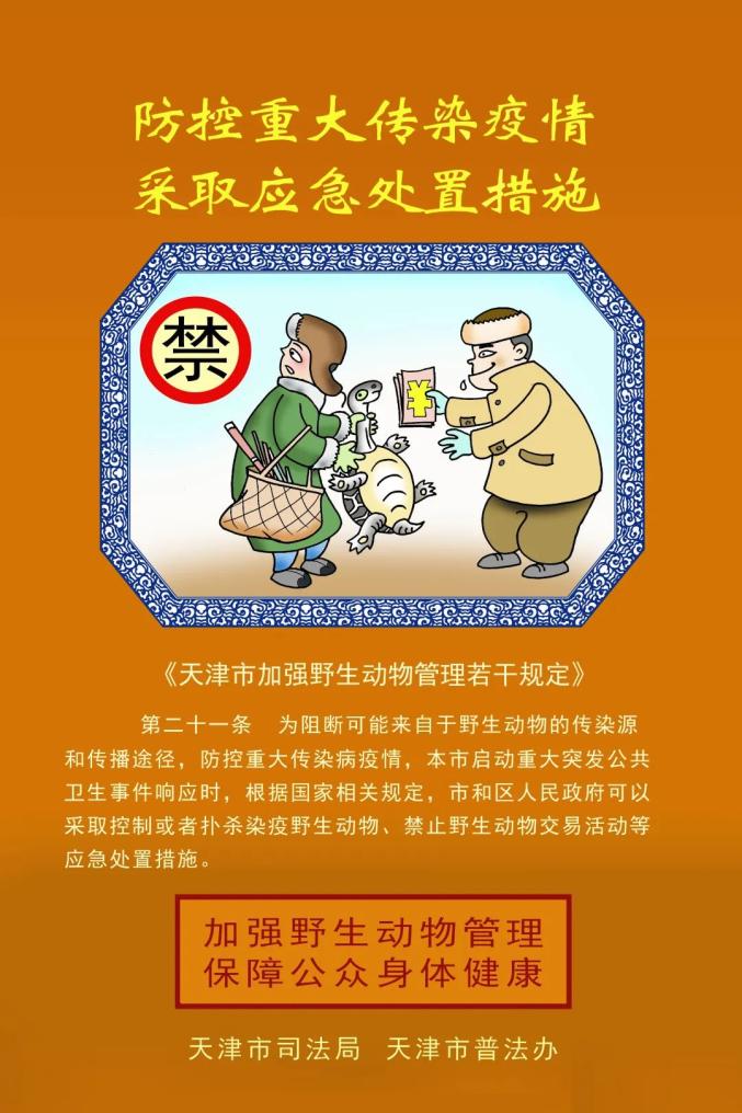 怒雷神锦_怒雷神植物_雷神之怒