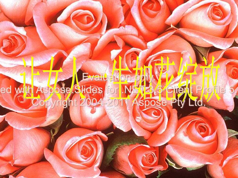 3.27日是什么节日_11月1日是西班牙的什么节日_六月一日儿童节是什么的节日