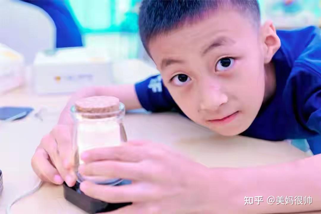 飞机残骸的宝箱怎么拿_寻找飞机残骸的手机游戏_飞机残骸