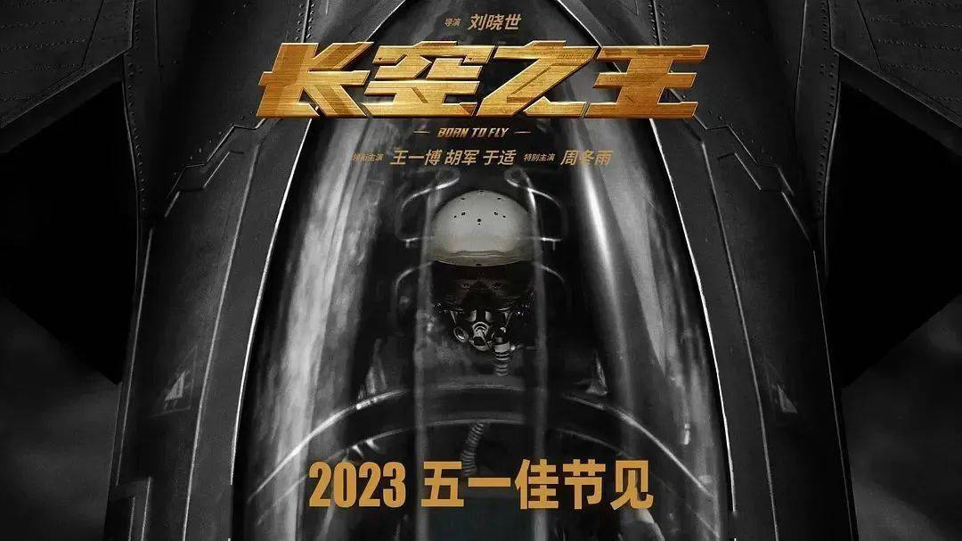 长空之王免费观看完整版高清电影_芈月传完整版免费观看_电影雏菊高清免费观看