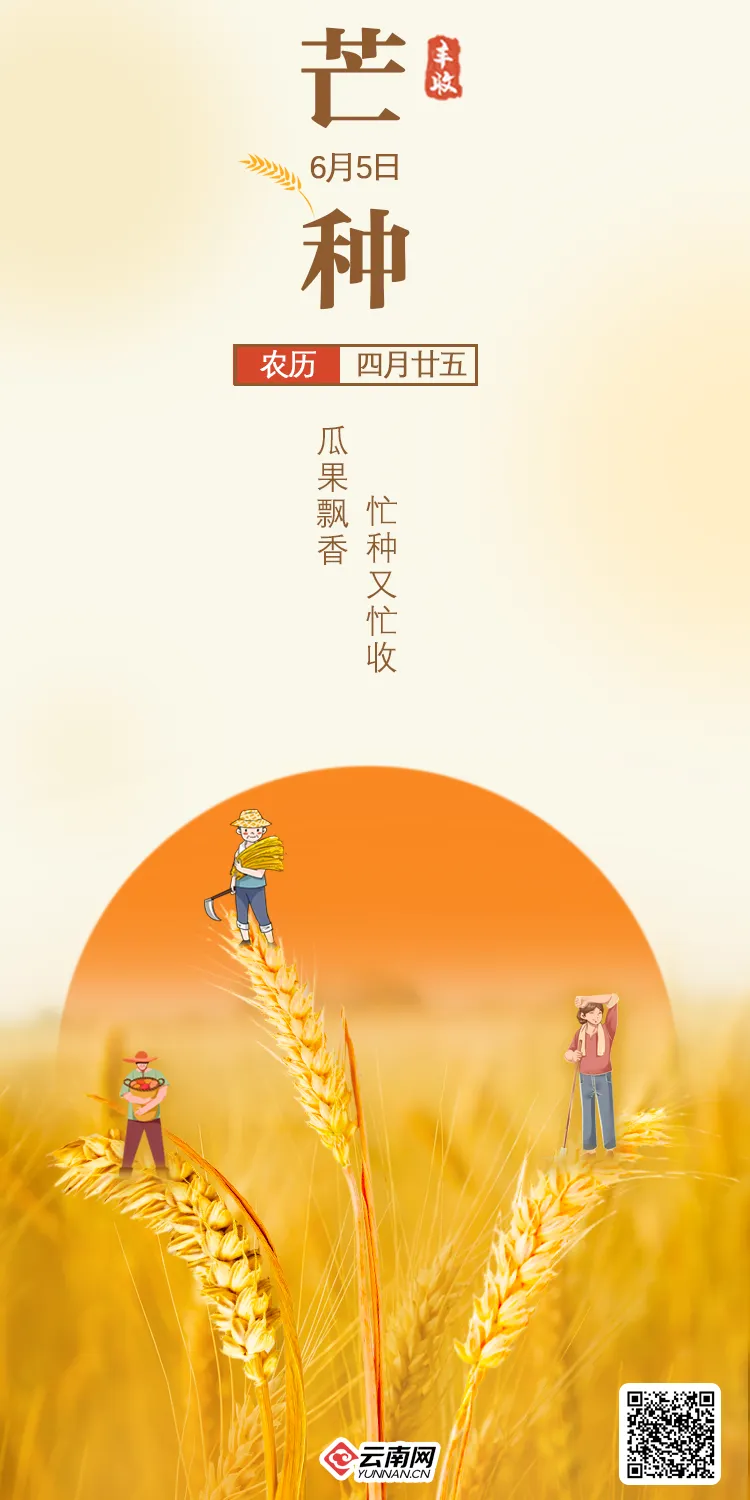 立夏英文_立夏英文_立夏英文