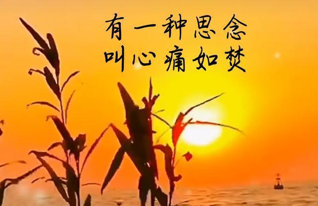 阿兹海默_阿兹特_阿兹阿科斯塔