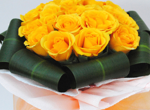 36朵玫瑰代表什么_玫瑰代表的花语和寓意_玫瑰代表的寓意是什么意思