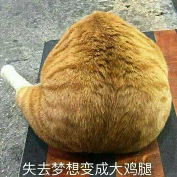 画画的手机游戏_安卓画画游戏_我画画的游戏手机