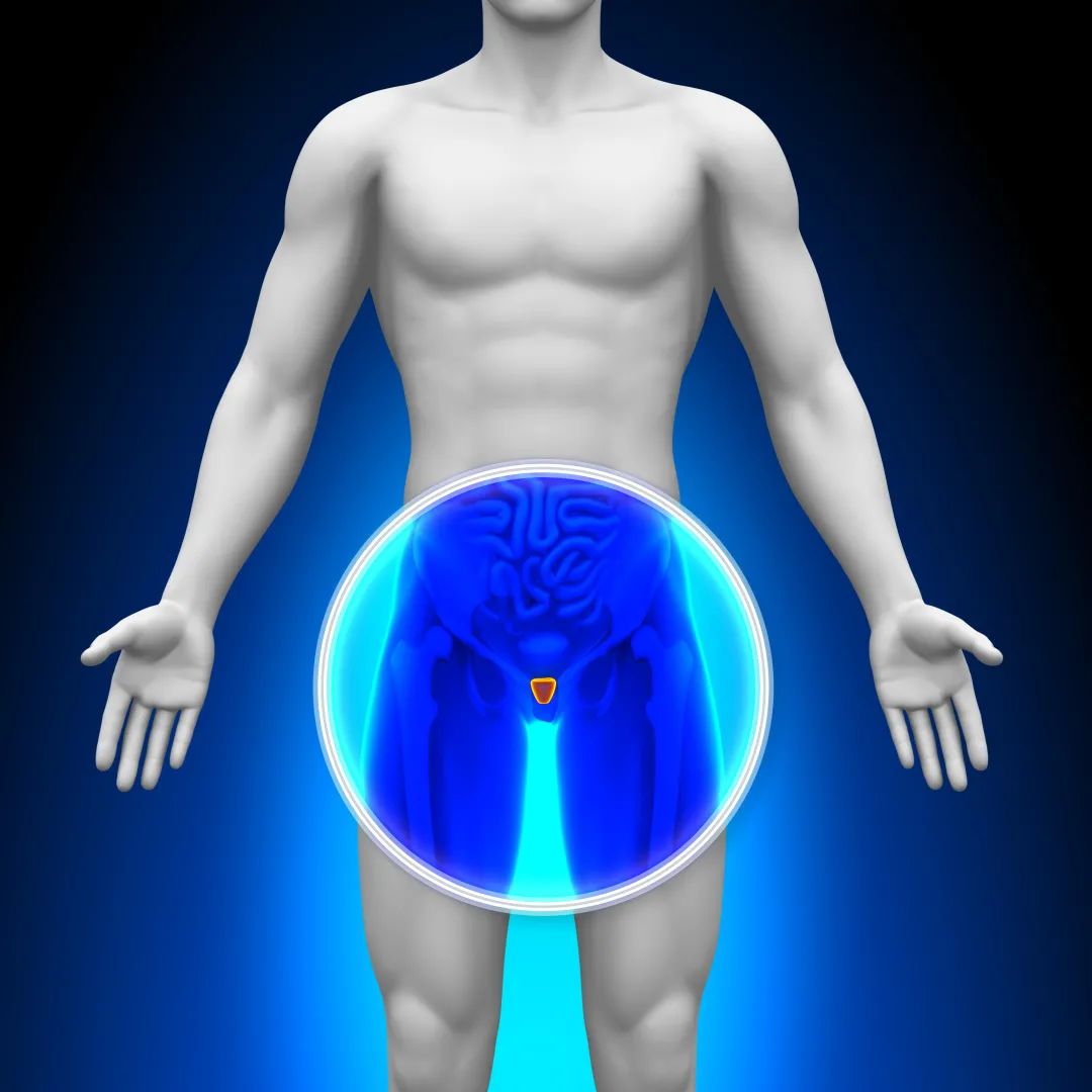 男人节_男人节_男人节