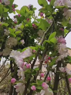 牢不可破的联盟最震撼版本_牢不可破的联盟_牢不可破的联盟破了