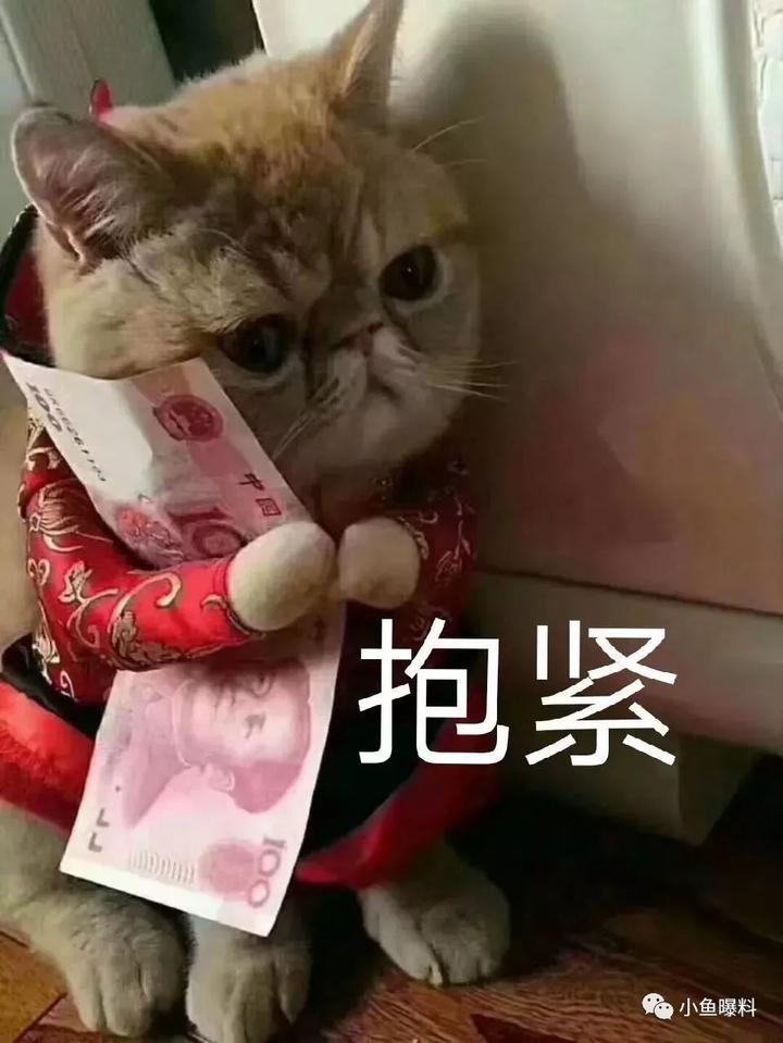 小猫抽手机游戏视频_小猫游戏抽手机_小猫抽手机游戏叫什么