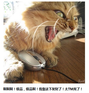 小猫游戏抽手机_小猫抽手机游戏叫什么_小猫抽手机游戏视频