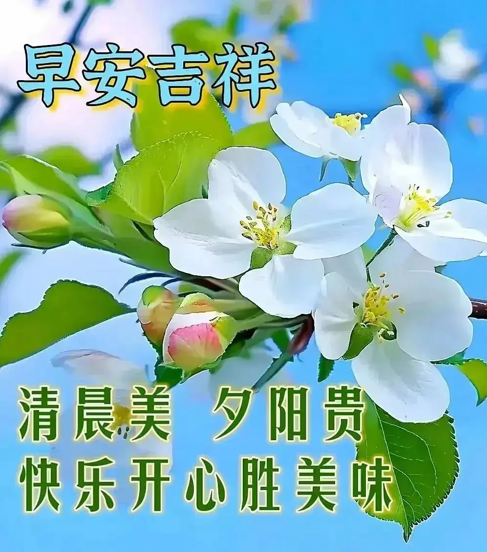 袜带_中筒袜和过膝袜哪种更显腿长_短筒袜和船袜