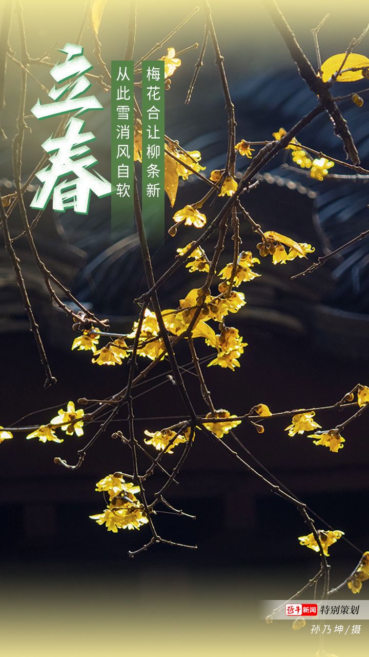 立春的风俗活动和风俗食物_风俗节气立春特点有哪些_立春节气的特点和风俗