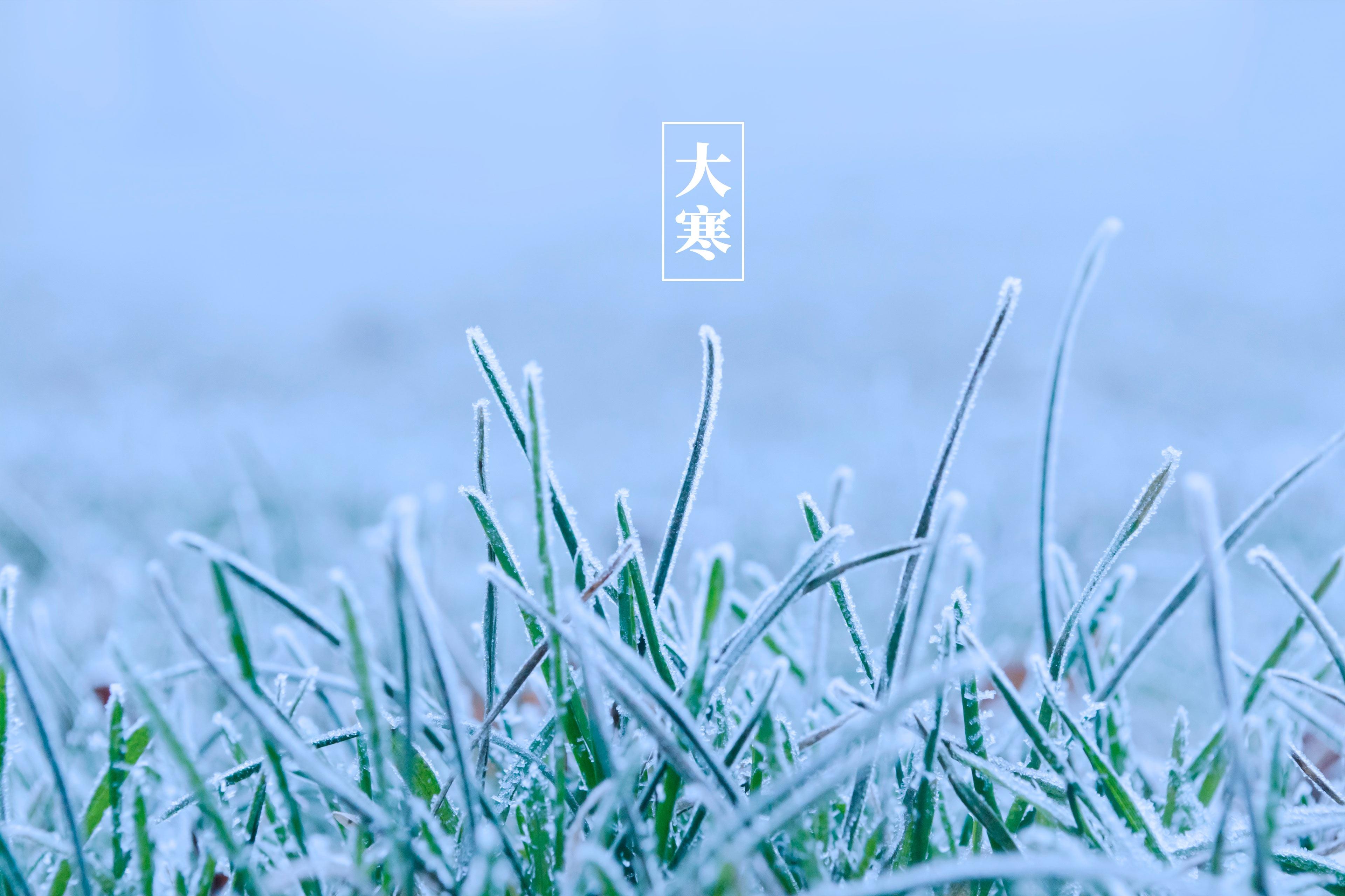日历节气表2021_日历节气表大全2023_节气2022日历表