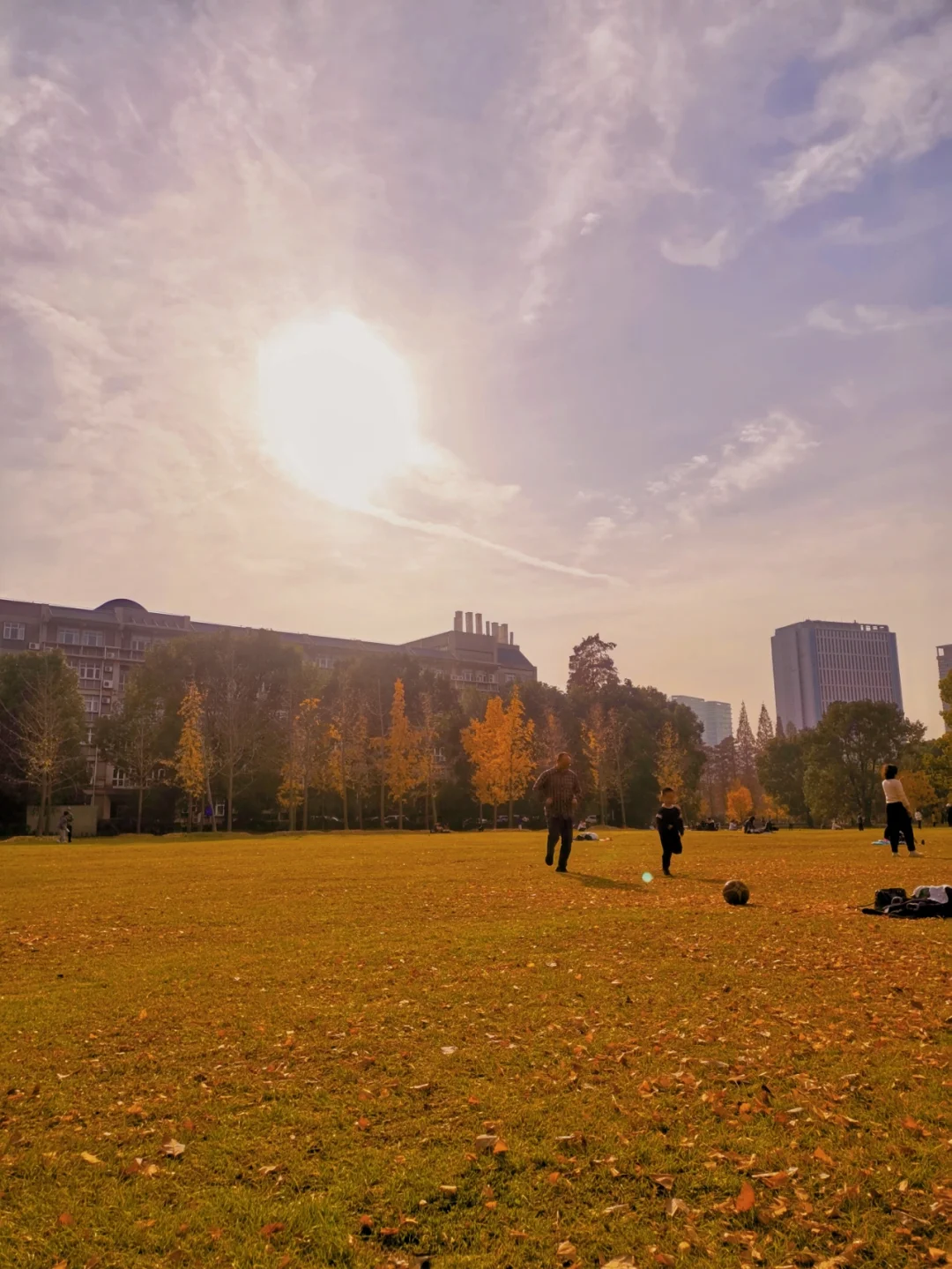 联邦城市_联邦城市是什么意思_联邦之城