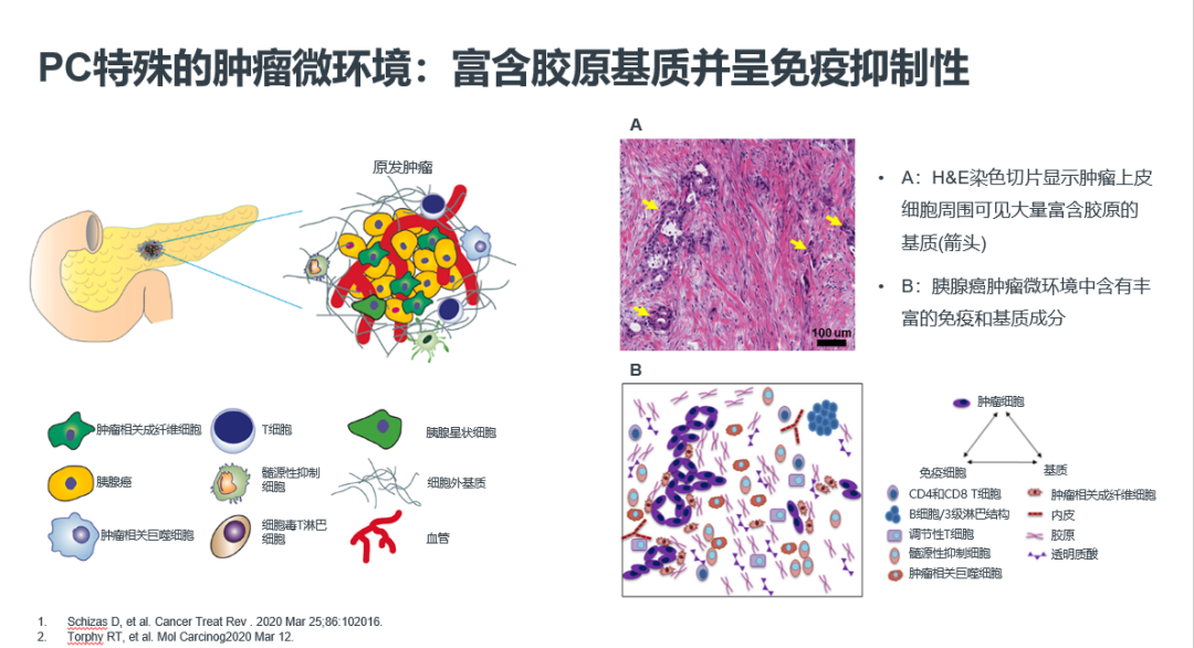 strsplit函数_函数strstr_函数strstr的作用