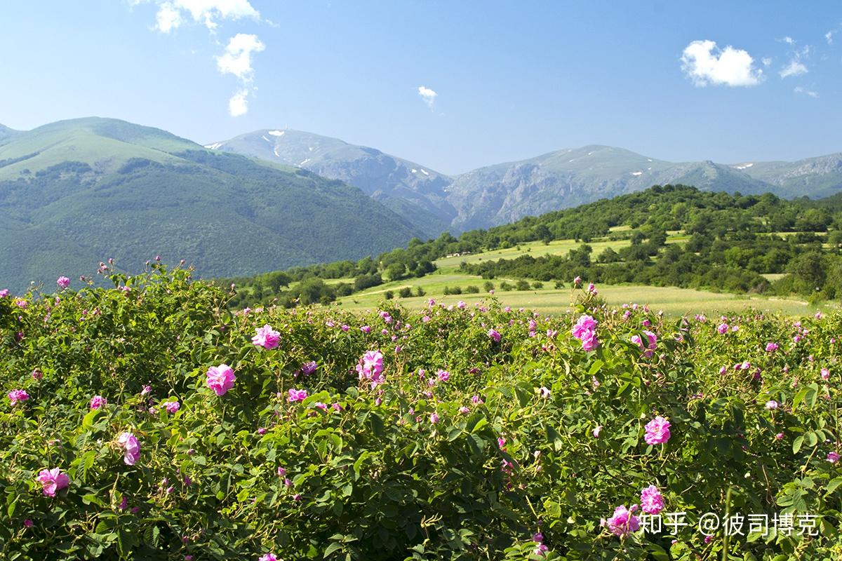 保加利亚签证_保加利亚在哪_保加利亚旅游