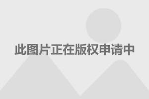 栖川有栖魔镜_栖川有栖什么意思_有栖川