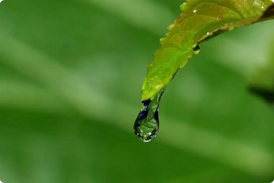 高难度游戏排行榜手机_难度最高的手机游戏_最新高难度的手机游戏排行